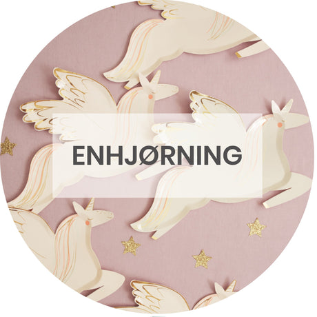 ENHJØRNING